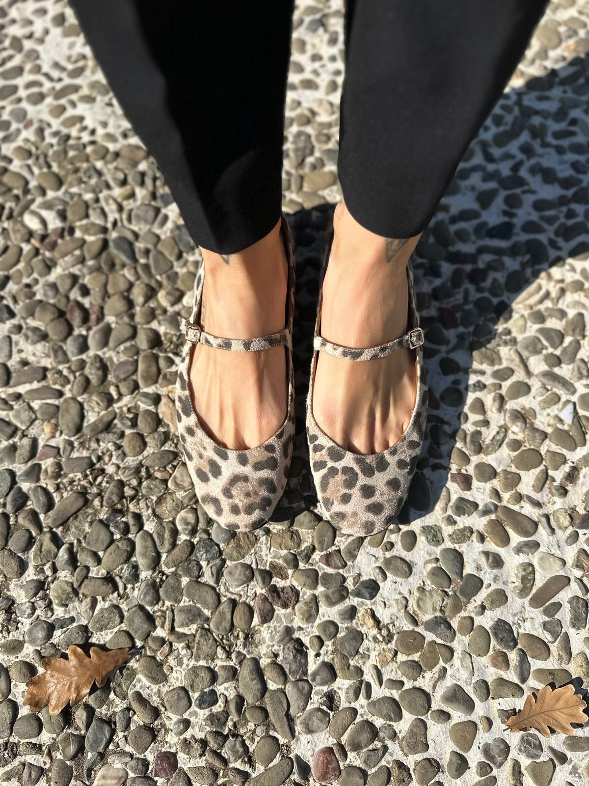 The Workshop - Mary Jane Ballet